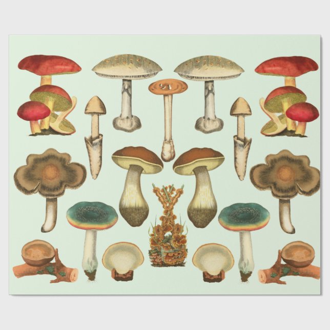 Papel De Presente  Cogumelos Fungi Plantas Jardim Botânico Colagem  (Aberto)