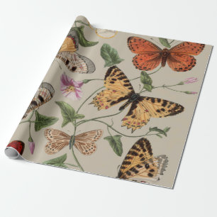 Papel De Presente Coleção de Desenhos de Mariposa Borboleta Natureza