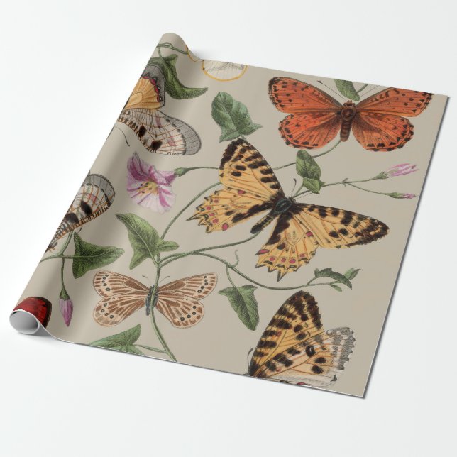 Papel De Presente Coleção de Desenhos de Mariposa Borboleta Natureza (Desenrolado)