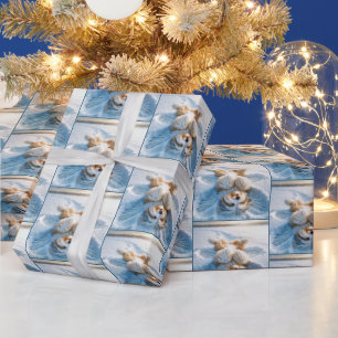 Papel De Presente Collie Fazer a Snow Angel