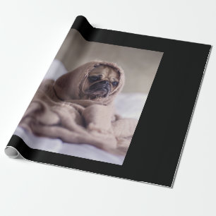 Papel De Presente Colocar No Presente De Sobrecarga De Cão De Cacho