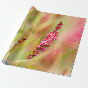Papel De Presente colorbush