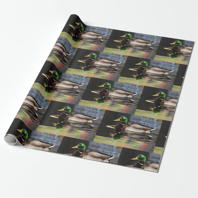 Papel De Presente Colorful Mallard Duck Water Reflections (Desenrolado)