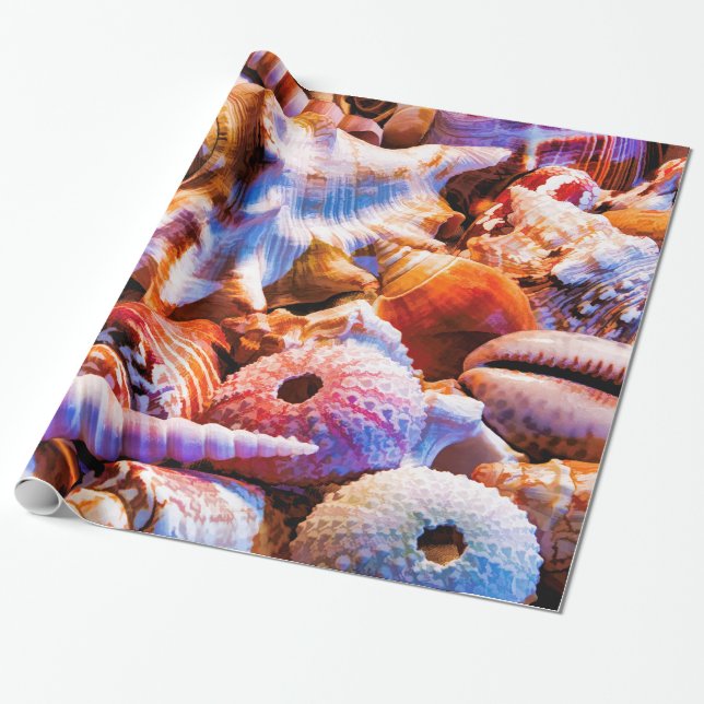 Papel De Presente Conchas 1 Alt (Desenrolado)