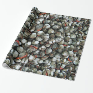 Papel De Presente Conchas de Cockle de Sangue