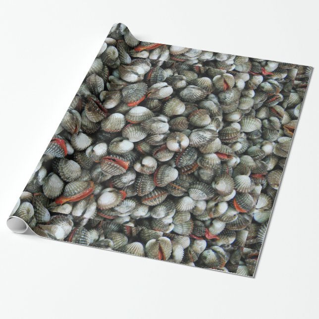 Papel De Presente Conchas de Cockle de Sangue (Desenrolado)