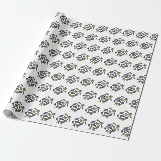 Papel De Presente Conchas marítimas tropicais (Desenrolado)