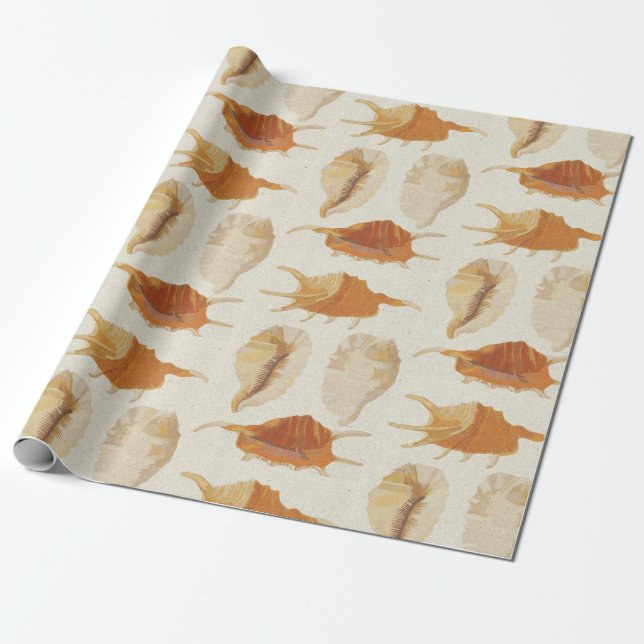 Papel De Presente Conchas Texturizadas (Desenrolado)
