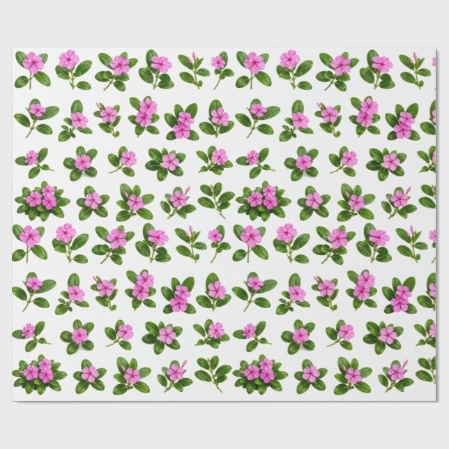 Papel De Presente Conjunto Botânico de Flor de Periwinkle Rosa Sadab (Aberto)
