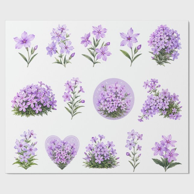 Papel De Presente Conjunto Botânico de Flores Silvestres de Flox Ras (Aberto)