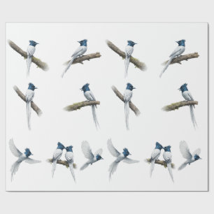 Papel De Presente Conjunto de pássaros asiáticos Paradise Flycatcher