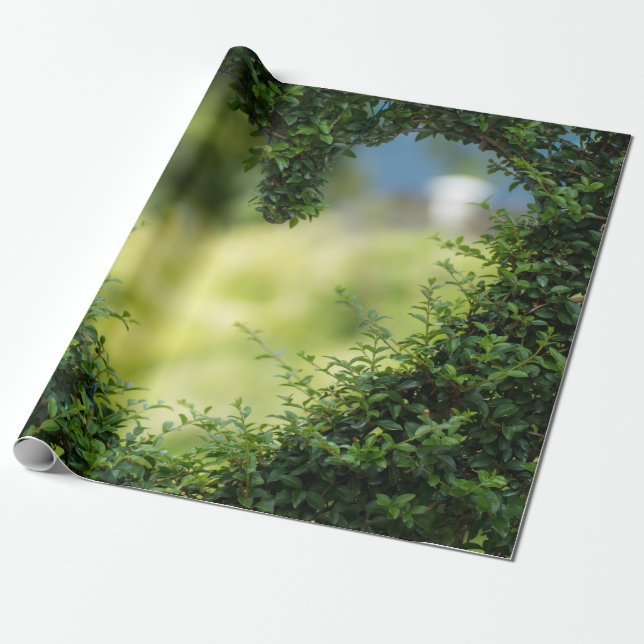 Papel De Presente Coração Tópico Verde (Desenrolado)