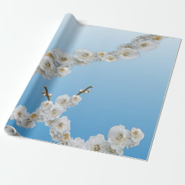 Papel De Presente Coreia Cherry Blossoms White