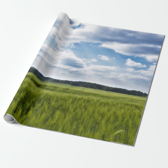 Papel De Presente Cornfields Verdes e Céu Azul (Desenrolado)