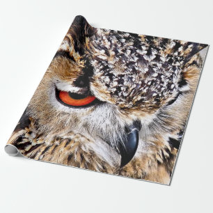 PAPEL DE PRESENTE CORUJA