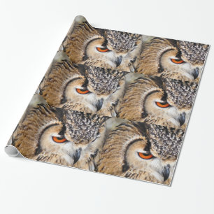PAPEL DE PRESENTE CORUJA