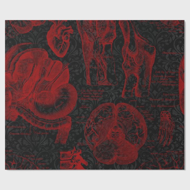 Papel De Presente Crimson & Black Damask - Anatomia Vampiro padroniz (Aberto)