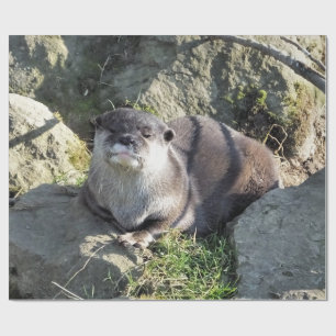 PAPEL DE PRESENTE CUTE ASIAN OTTER