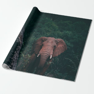 PAPEL DE PRESENTE CUTE ELEPHANT