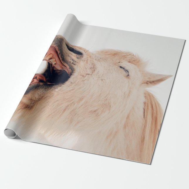 PAPEL DE PRESENTE CUTE LLAMA ALPACA LAUGHING (Desenrolado)