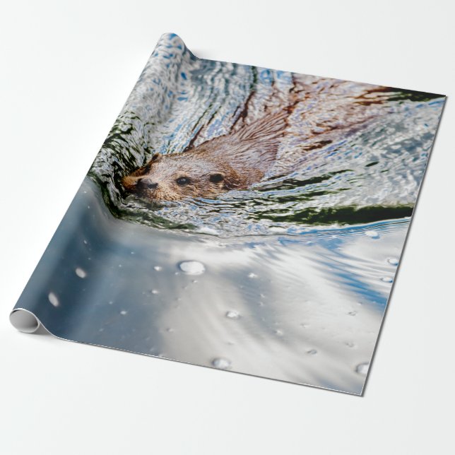 PAPEL DE PRESENTE CUTE SEAL SWIMMING (Desenrolado)