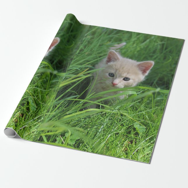 Papel De Presente Cuteness (Desenrolado)