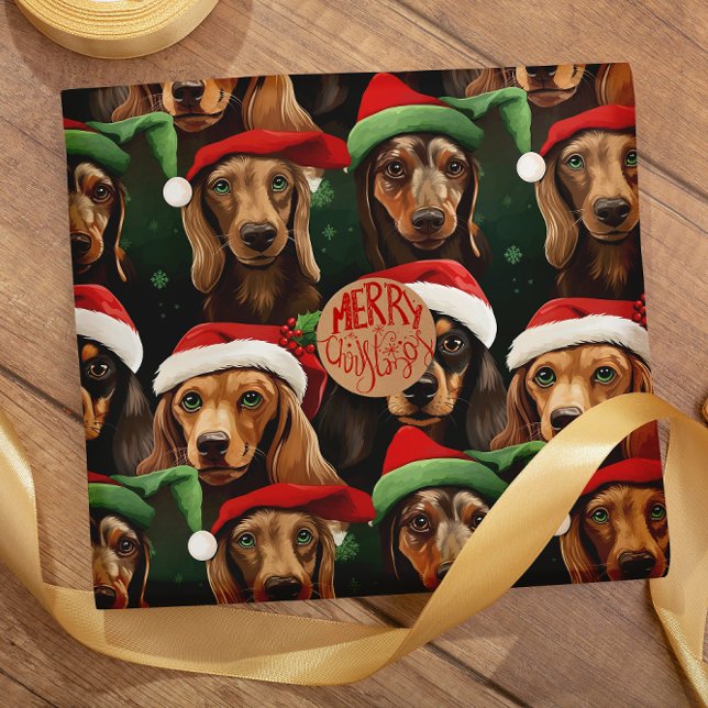 Papel De Presente Dachshances com padrão perfeito de Chapéus de Nata (Criador carregado)