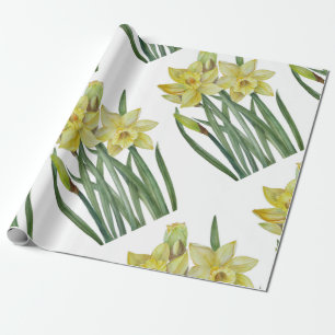 Papel De Presente Daffodils De Aquarela Ilustração De Retrato De Flo