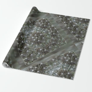 Papel De Presente Dandelion de rotação