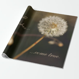 Papel De Presente Dandelion Seed Head em tons castanhos