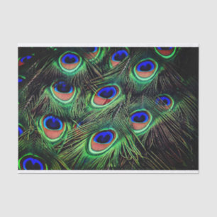 Papel de Presente de Tecido de Pancete