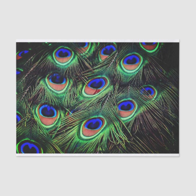 Papel de Presente de Tecido de Pancete (Frente )