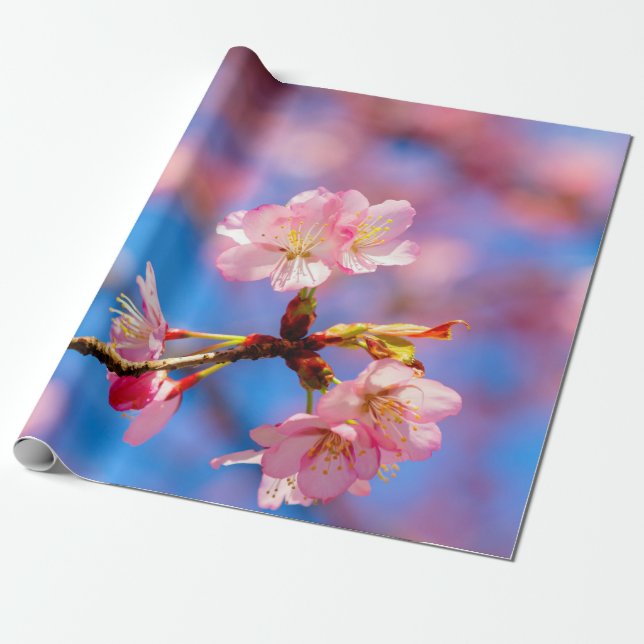 Papel De Presente Delicar Sakura Beauty Contra O Céu Azul (Desenrolado)