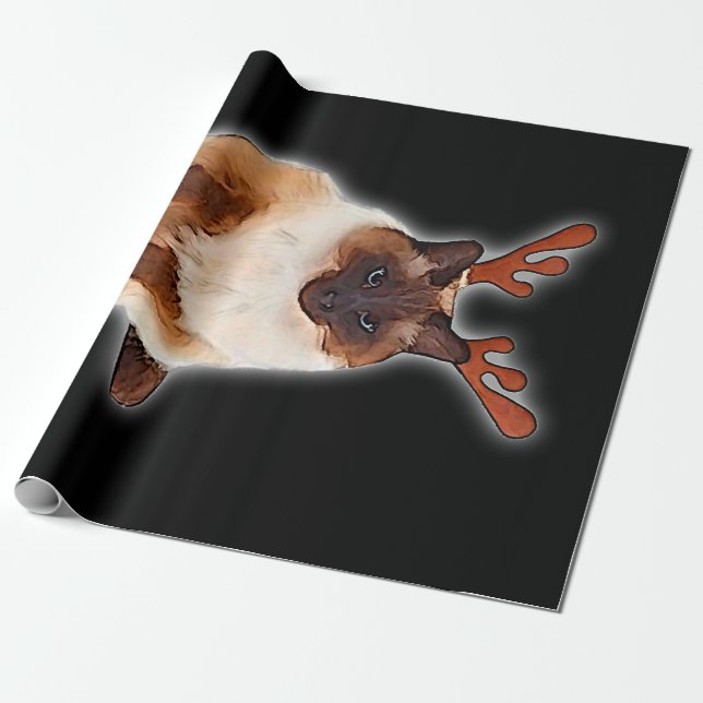 Papel De Presente Desenhar de mão Engraçado Gato balinês Japão Prese (Desenrolado)