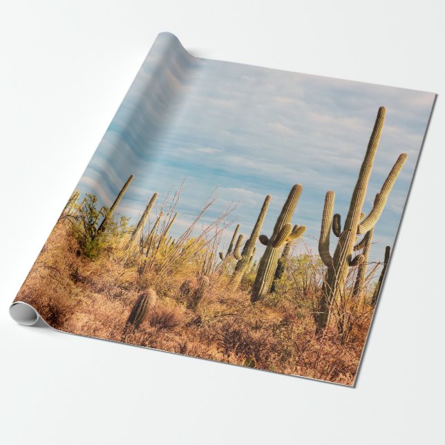 Papel De Presente Deserto com cactos de Saguaro (Desenrolado)
