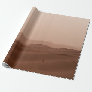 PAPEL DE PRESENTE DESERTO SOB CÉU BRANCO DURANTE O DIA