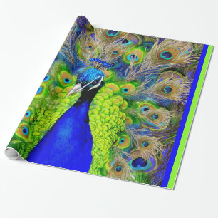 Papel De Presente Design azul das penas do pavão