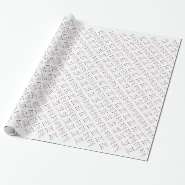 Papel De Presente Design de História Chinês Detido (sem pelo) (Desenrolado)