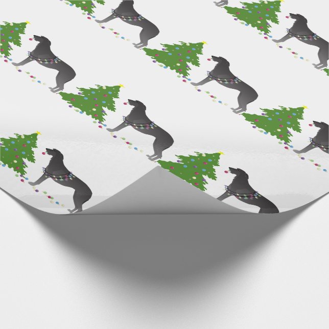 Papel De Presente Design de Natal de Deerhound (Ponta)
