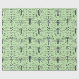 Papel De Presente Design insectes vintage noir sur vert sauge doux