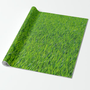 Papel De Presente Design verde
