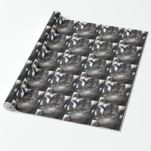 Papel De Presente Destino bonito do amor da paz do gato do gatinho