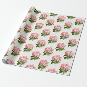 Papel De Presente Dif. Pink Hidrangea Padrão Floral Dif.