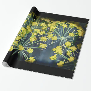Papel De Presente Dill de Aquarela em Preto Grande