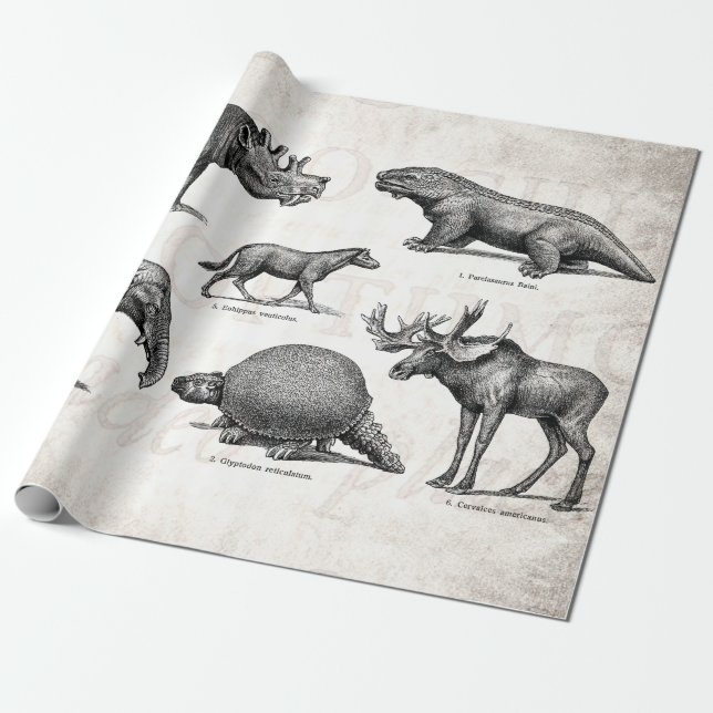 Papel De Presente Dinossauros retros da ilustração velha do (Desenrolado)