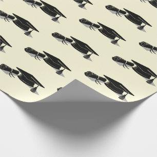 Papel De Presente Diploma de Colação de Grau Gorro de Graduação