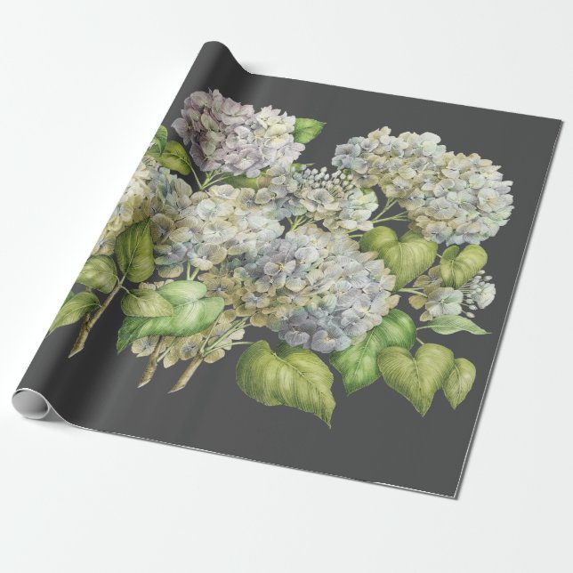 Papel De Presente Discussão Preta de Hydrangea Azul Floral (Desenrolado)