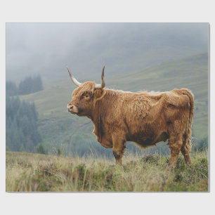 Papel De Presente Dissociação da Manhã de Mistura em Highland Cow