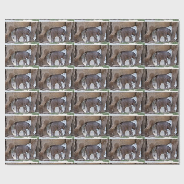 Papel De Presente Doce Bebê Elefante (Aberto)