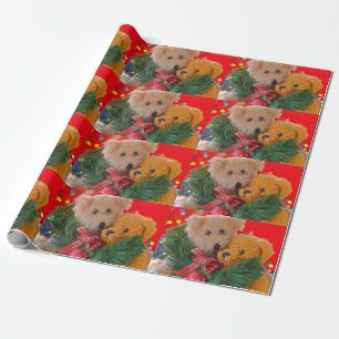 Papel De Presente Dois ursos peludos com verde e arco